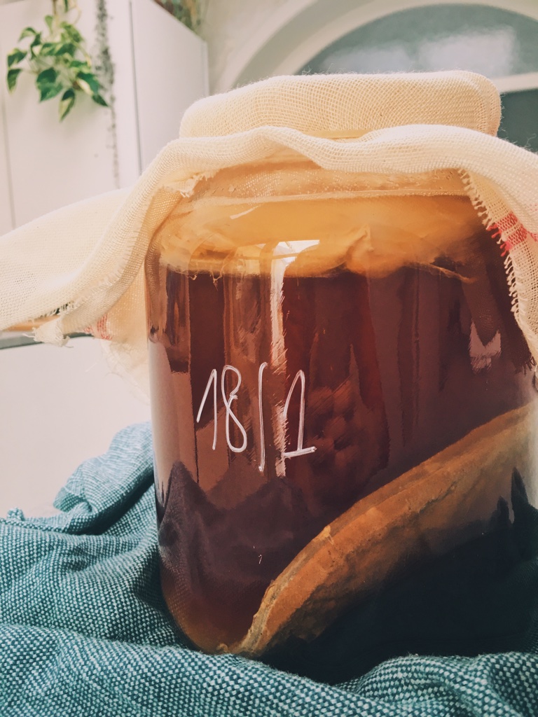 kombucha