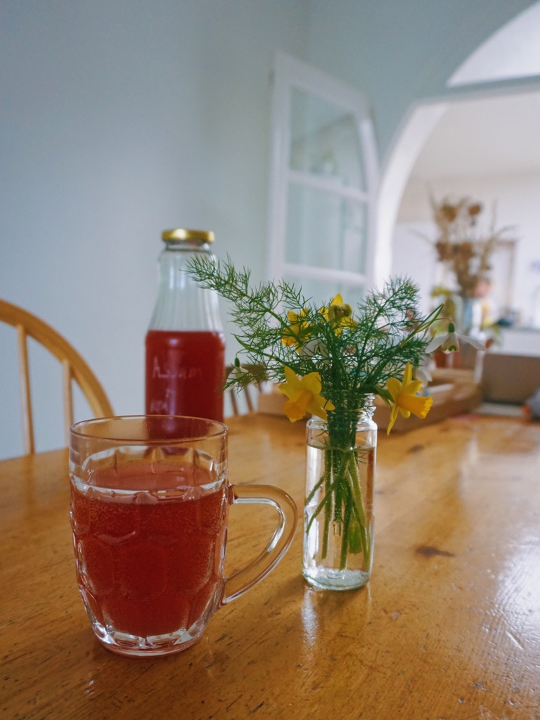 kombucha