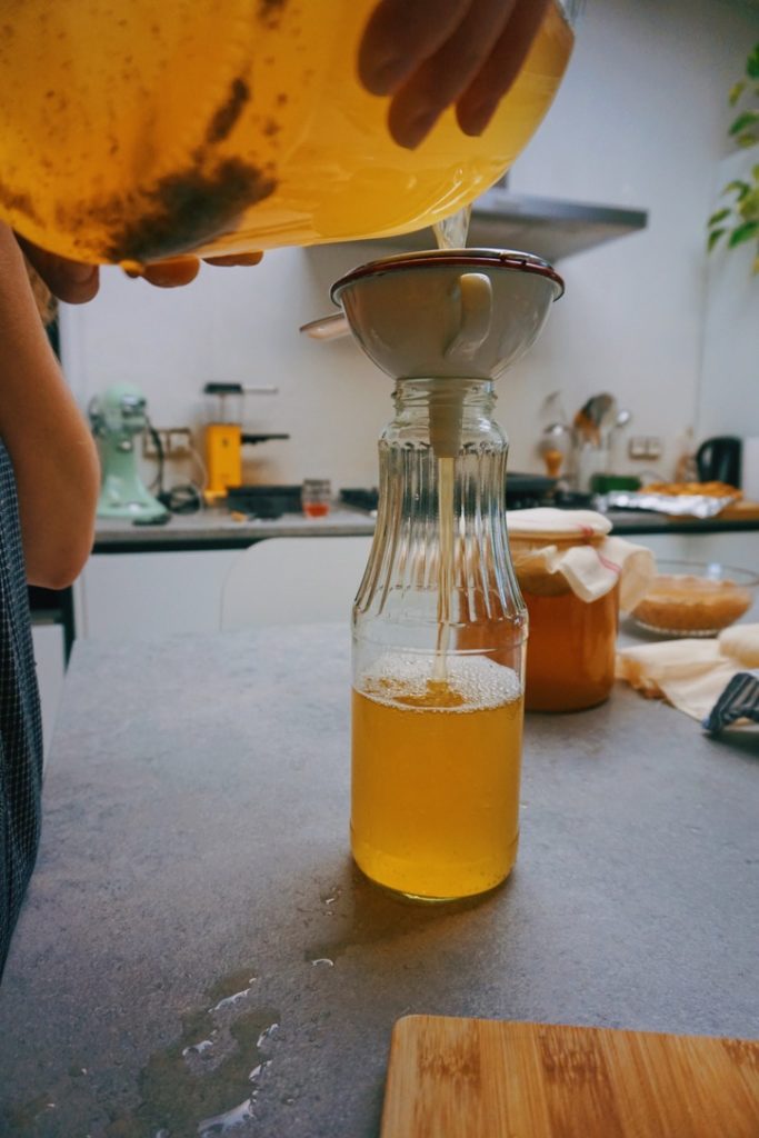 kombucha