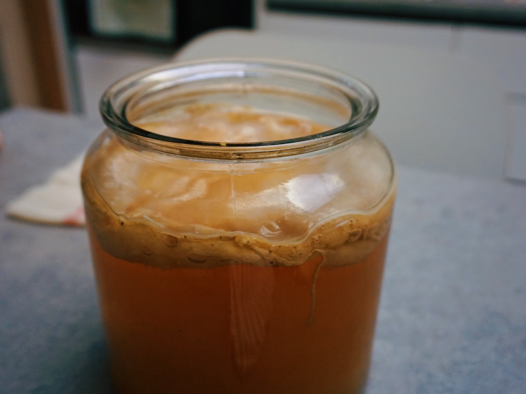 kombucha